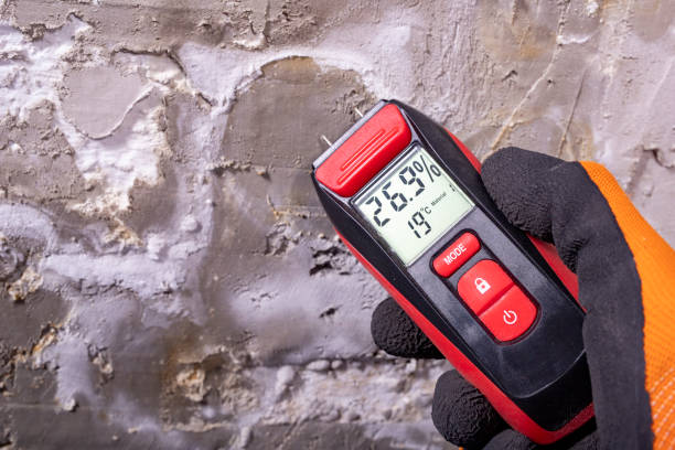 Best Mold Cleaning Services  in Thunder Mountain, NM