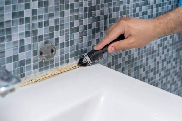 Best Mold Removal Company Near Me  in Thunder Mountain, NM