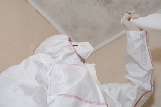 Best Commercial Mold Removal  in Thunder Mountain, NM