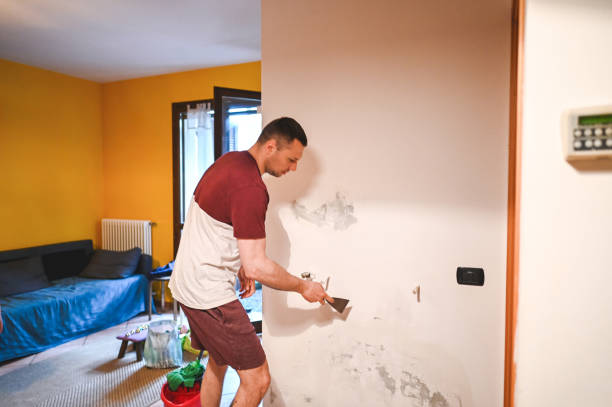 Best Professional Mold Removal  in Thunder Mountain, NM